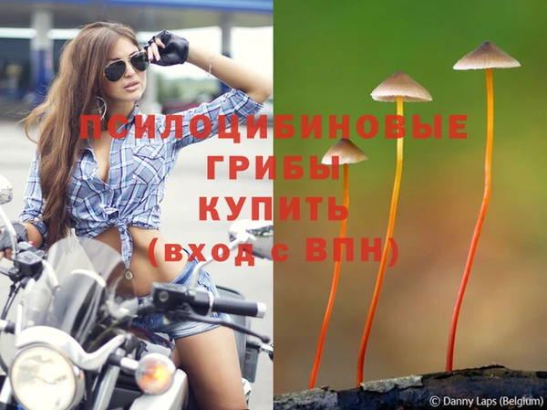 гидропоника Киренск