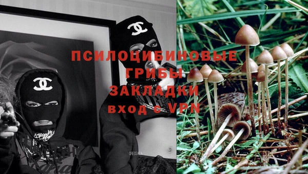 прущий лед Киреевск