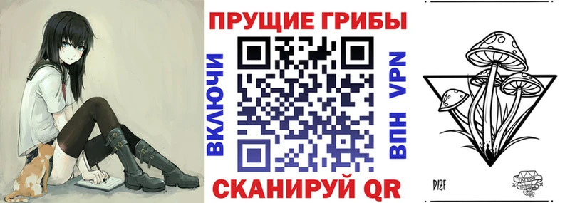 Купить где  Заполярный  Псилоцибиновые грибы GOLDEN TEACHER 
